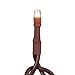 Teeny Bulbs Light Set - 20 Clear Rice Bulbs - Brown Cord