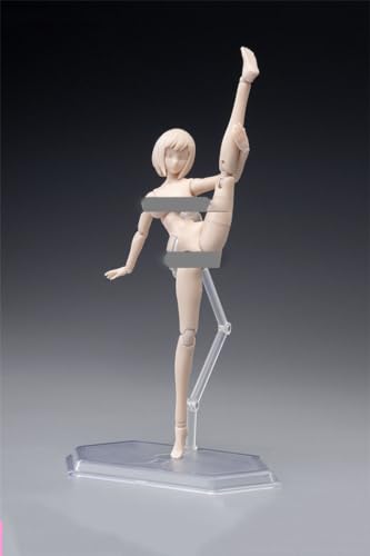 Image of Fremego 1 /12 Scale Female Action Figure,6inch Figure with Head Sculpt&Stand