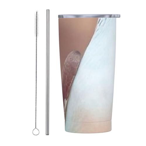 20oz ԗp ԃJbv XeX{g (9) ԗp|bg ԗp Jbv ^fM Rh~ ܂قт   }O{g X|[c{g @r fMJbv XeX st ݕpj̎q ̎q s ʋ ʊw lC X