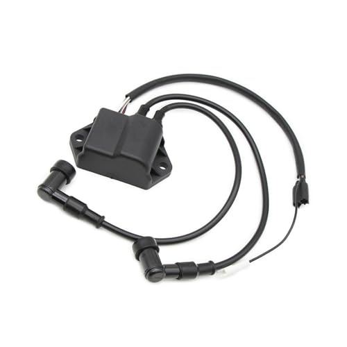 Bobine d'allumage motoneige contre les pannes de rechange 3084007 et 500