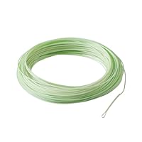 Amazon.co.jp: RIO PRODUCTS(リオプロダクツ) プレミアゴールド