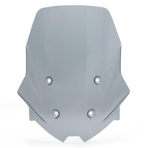 Pare-Brise Moto pour DS900X 2024-2025 Déflecteur Carénage