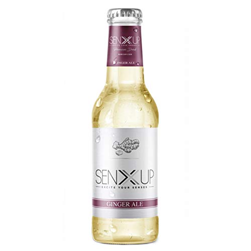 Senxup Ginger Ale - Premium Mixer In Confezione Da 24X200Ml