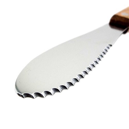 Adorox Wide Stainless Steel Spreader Kitchen Knives For Sandwiches Butter Cheese (Set Of 4) #TOP1
