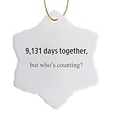 3dRose orn_112212_1 9, 131 Days Together But Who's Counting Happy 25th Anniversary Snowflake Porcelain Ornament, 3-Inch