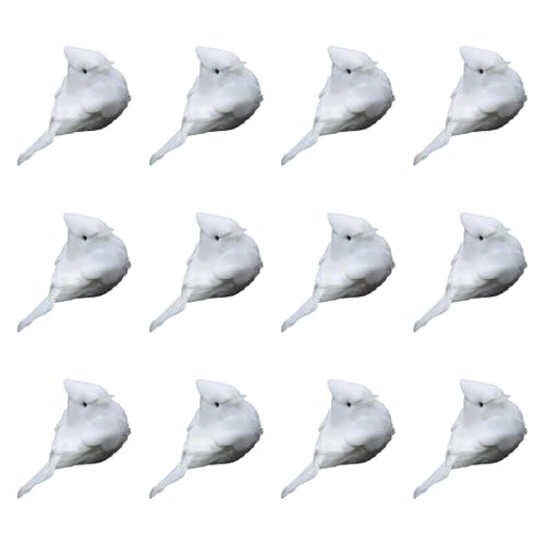 Wyhqgn 12 ̖͌^ ̓I fR[V y lH tȒP Ntg Ƃ ̏ Ht OpeBI tFX̑ X܃fBXvCɓKp, 