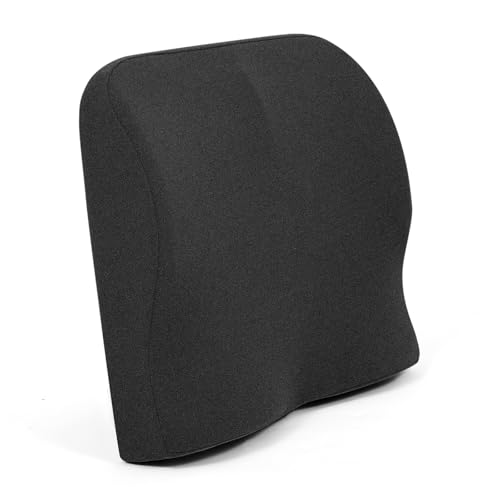 Shinnwa Lumbar Support Pillow for Office Chair, Dual-Purpose Memory Foam Back Support Pillow and Seat Cushion 2-in-1, for Back Pain Relief, Car, Chair and Couch, Charcoal