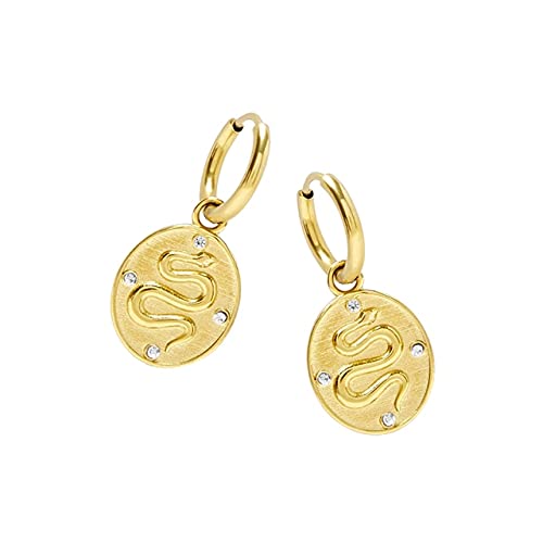 JQQJZLC Pendientes de Serpientes para Mujeres Pencas pequeñas Pendientes Pendientes Pendientes