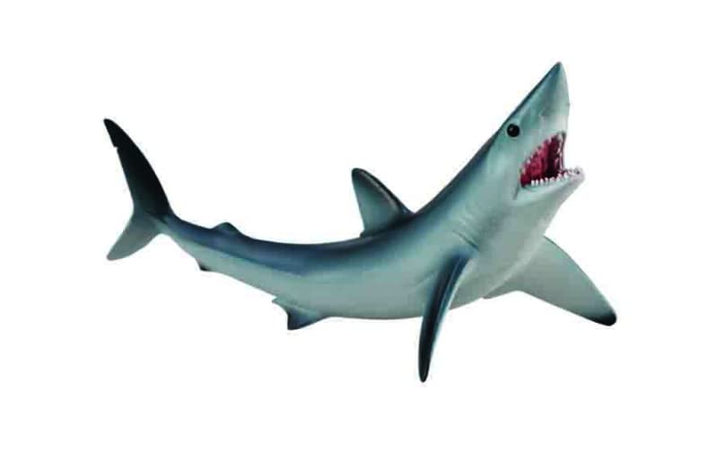 ホオジロザメ　アクリル画　原画 Amazon.co.jp: CollectA (コレクタ) アオザメ サメ フィギュア