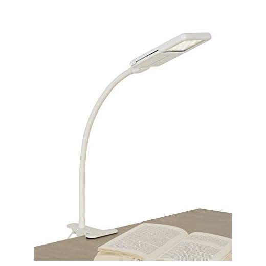 SHABBOSLITE Clip-On LED Lamp