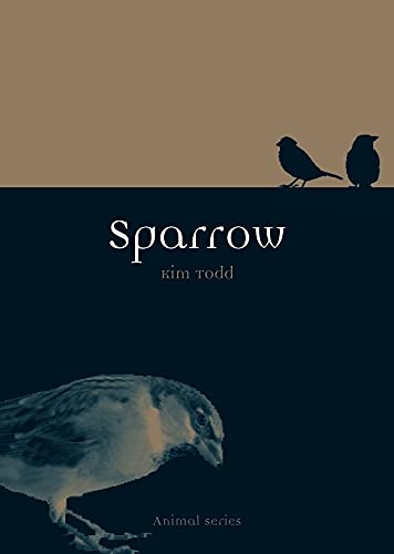 Sparrow Todd, Kim view 2