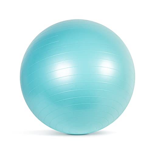 Cap Barbell Stability Ball