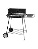 Barbecue carrello acciaio 52 x 30 cm Milano