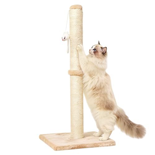 Colonna tiragraffi per gatti, 30 x 30 x 64 cm, albero tiragraffi verticale, piccolo albero tiragraffi con palla sospesa, sisal naturale, per gattini e gatti piccoli, base tabile