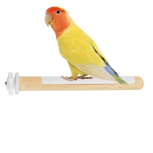 p~܂؃|[,P[WANZT[ ܂ƂXeBbN | o藧 @\ CRptH[N IJCR tB`p V