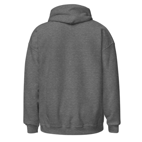 Sweat à capuche Tsitsipas graphite heather en coton premium Large - 2