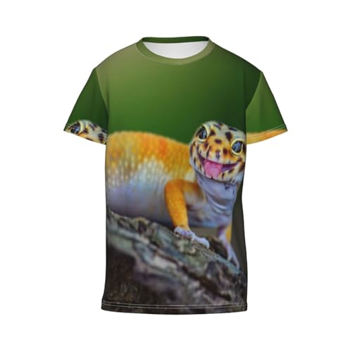 Teen Boys Crew Neck Short Sleeve T-Shirt 3D Printed Graphic Tee Shirts Lizard Reptile T-Shirt for Youth3