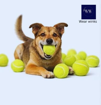 Image of Durable Tennis Balls Set for Coaching, Kids & Beginners - Consistent Bounce, All-Court Performance, Pack of 18