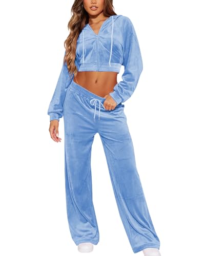 SMSN Women Sweatsuits Set Velvet 2 Piece Tracksuit Outfits Velour Jogging Long Sleeve Sweat Hoodie and Sweatpants Set Light Blue M
