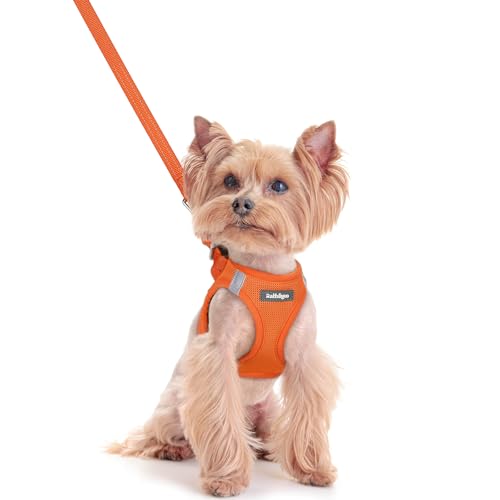 Image of rabbitgoo Dog Harness Small Sized and Leash Set, Step-in Puppy Pet Vest