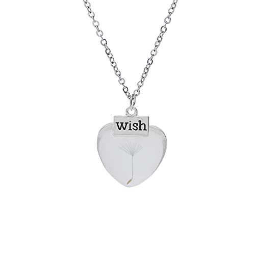 Aloha Collana Dente di leone Esprimi un desiderio Fiore Vero Soffione Catena in Acciaio Collane Idea Regalo Donna Compleanno Amica by