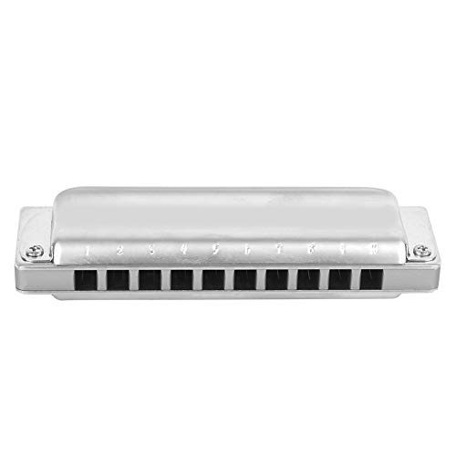 Prachtige blaasinstrumenten 10 gaten mondharmonica voor volwassenen voor studenten - Image 5
