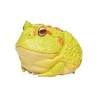 買えるカエル/スペシャルゲスト／ウェア上下セット Amazon.co.jp: EUHELOPA 動物惑星第13弾 ブラインド ボックス