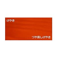 Amazon | 和信ペイント(Washi Paint) 水性ウレタンニス 屋内木部用