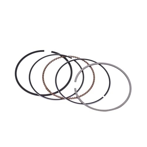 Segments de piston moto 65mm pour Honda CB600F Hornet et CBF600 S
