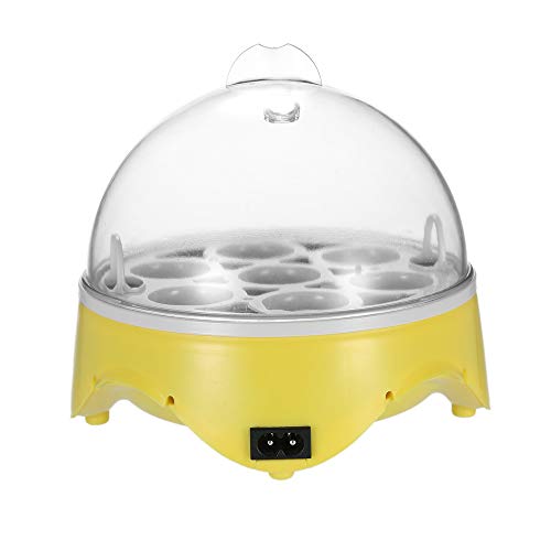 WXHN 7 Eier Mini Digital Egg Incubator Hatcher Transparente Eier Brutmaschine Automatische Temperaturregelung für… – Bild 3