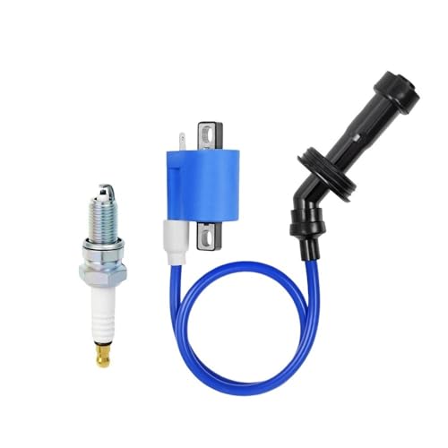Bougies d'allumage moteur bobine d'allumage pour quad Grizzly 660R Rhino YFM 2001-2008