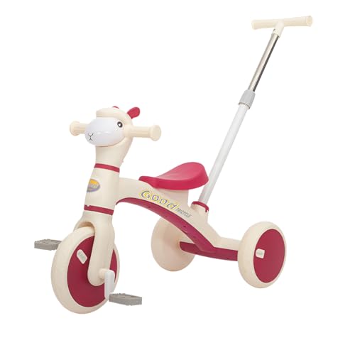 [starrycoo]qp3֏蕨 O֎ _t ApJ^ cpLbYoCN jO ] LbY LbNoCN ֎ gݗĊȒP yʐ݌v Ώ۔N1΂8 AEghAp  pߋ