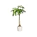 elho B.for Soft Round Maceta redonda, White, 18 cm