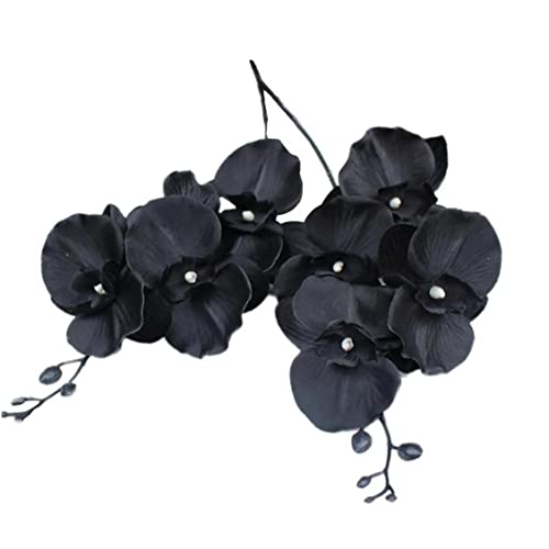  Ӓ t@mvVX VNt[ lHϗtA  X  2{Zbg ij