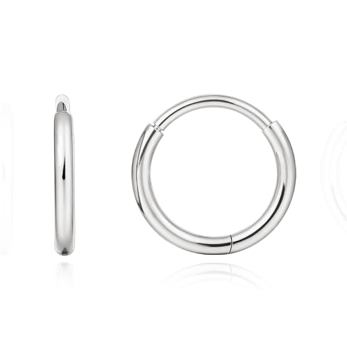 Limerencia Titanium Hoop Earrings for Women Hypoallergenic G23 Implant Grade Pure Titanium Huggie Lightweight Hoop Earrings for Women Men Sensitive Ears (10mm Silver No stones)
