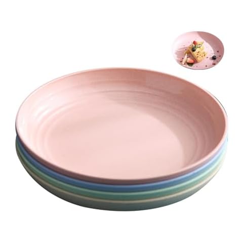 Qinsky Unbreakable Dinner Plates Set of 4 Cover