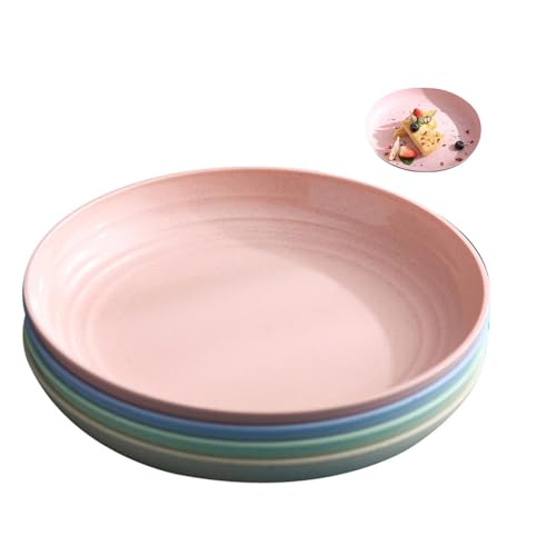 Assiettes de dîner légères,4Pcs Assiettes en Plastique Assiette Plastique Reutilisable Assiette Plate Incassables pour voyage,pique...