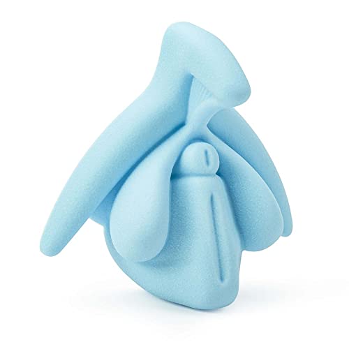 Medintim | Modèle éducatif | Anatomie du clitoris en 3D (Bleue)