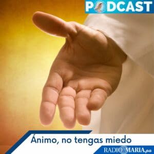 Doctrina social y compromiso de los fieles laicos: El servicio en los diversos ámbitos de la vida social – Lunes 29 sep 2025 Podcast Por arte de portada