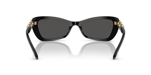 Swarovski Women's Sk6033 Butterfly Sunglasses4