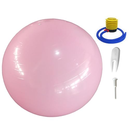 Pelota de gimnasia, pelota de yoga antipinchazos, espesa, equilibrio de estabilidad, pelota de pilates, para embarazadas, para yoga, barra, entrenamiento central y fisioterapia con bomba de aire, 65