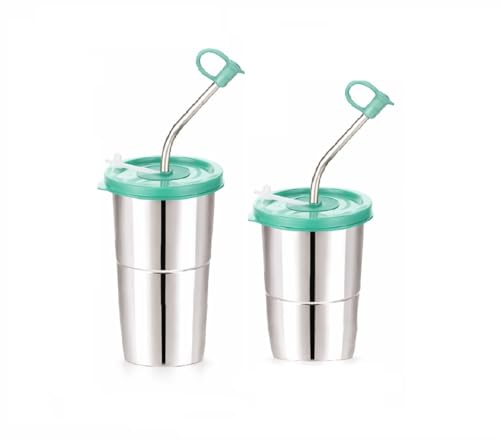 Image of Stainless Steel Fusion Glass Tumbler with Stainless Steel Metal Straws and Cleaning Brush with Lid (LD SIP 250+400ML)