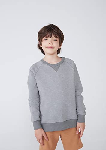 Blusão Básico Infantil Menino Em Moletom Peluciado Com Mangas Raglan