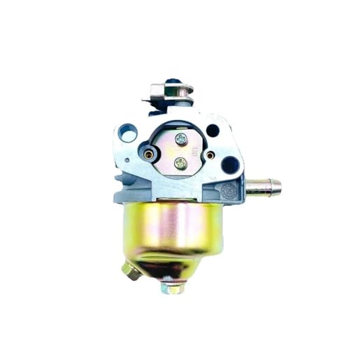 Carburateur pour VP200 VP225 XP160 et moteurs 1P70F 196 cm3