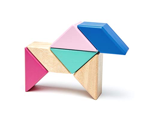 Tegu - Juego de Bloques de Construcción de madera magnéticos de 6 piezas Prismas con estuche , color/modelo surtido