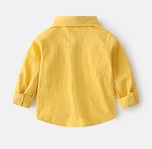 Kids Children Toddler Infant Baby Boys Girls Long Sleeve Cotton Cute Cartoon Printed Shirt Dinosaur Clothes for Boys4