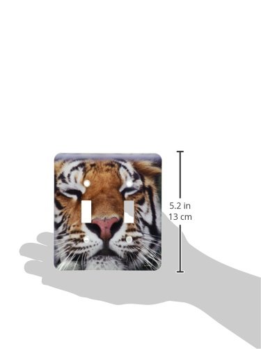 Interrupteur tigre double 3dRose pour remplacer une plaque murale blanche classique