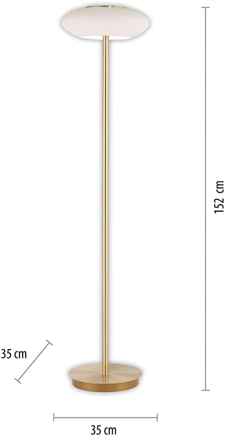 Dimensions diagram of Paul Neuhaus Q-Etienne LED Floor Lamp