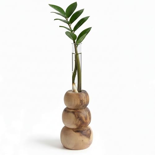 Image of Wooden Test Tube Planter Vase with Wooden Stand | Glass Tube for Indoor Plants, Cuttings & Hydroponics | Minimalist Bud Vase | Modern Flower Stand | Unique Home Office Decor Gift.(3 Steps Designe)