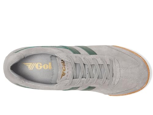 Image of Gola Harrier